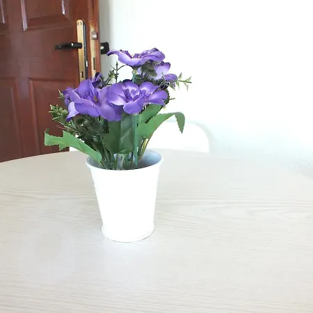 Seni̇z Apart טורונץ'